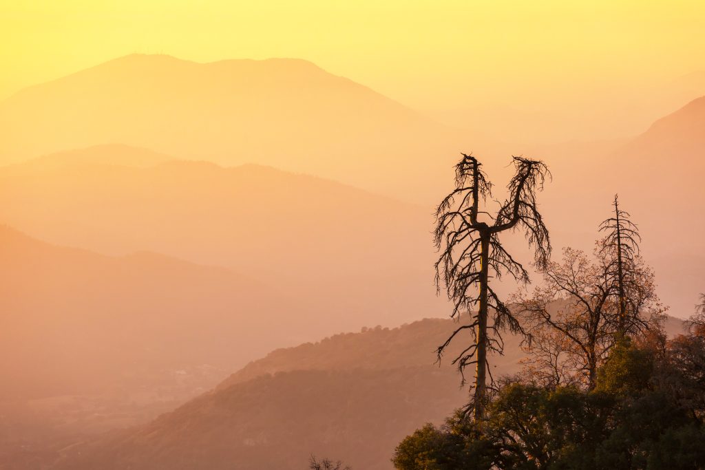 Orange sunset over misty mountains with silhouettes of bare, dead trees in the foreground.